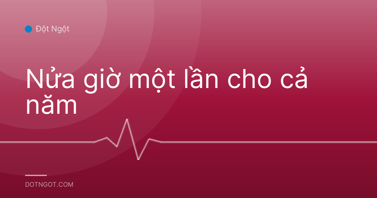 Nửa giờ một lần cho cả năm