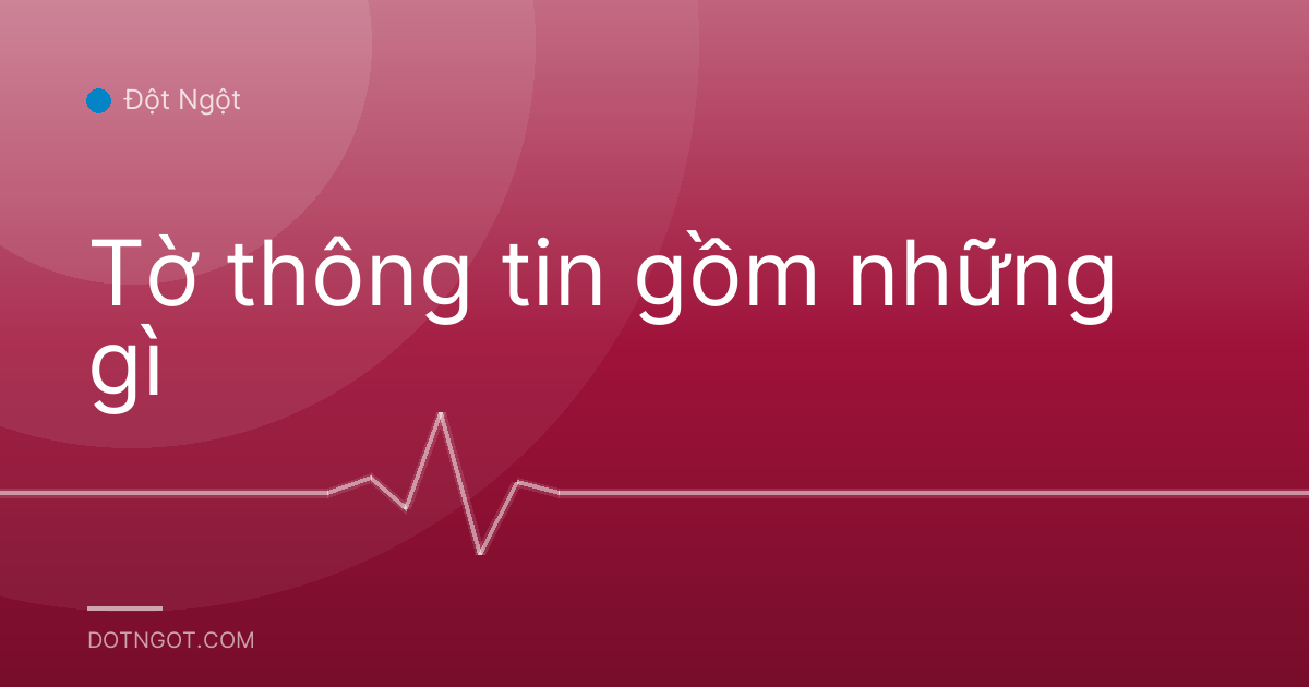 Tờ thông tin gồm những gì